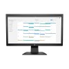 HP P204v 19.5 Inch HD LED Monitor