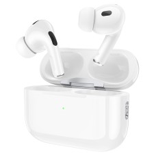 Hoco EW69 ANC+ENC True Wireless Earbuds