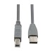 Yuanxin YUX-025 10 Meter USB Type-A Male to Type-B Male Printer Cable